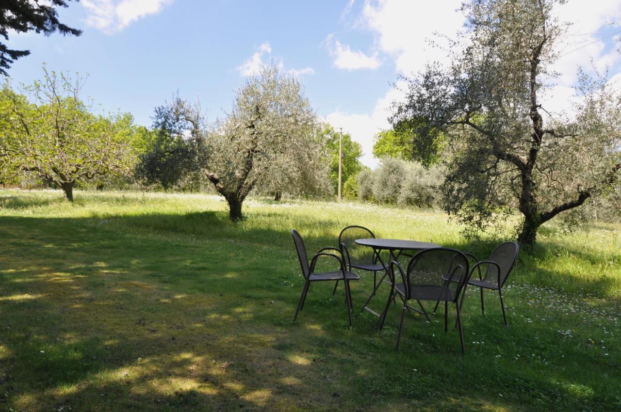 Agriturismo Testalepre グレーヴェ・イン・キアンティ エクステリア 写真